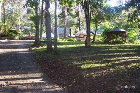 826 Commissioners Creek Rd, Commissioners Creek, NSW 2484