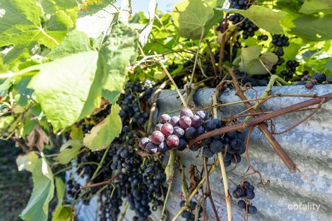 Property photo of 16 Gladstone Road Herrick TAS 7264