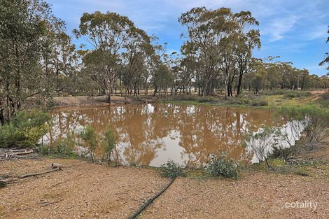 Property photo of 804 Thanowring Road Temora NSW 2666