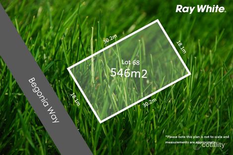 11 Begonia Way, Marcoola, QLD 4564