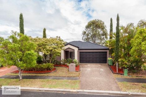 43 Marble Arch Pl, Arundel, QLD 4214