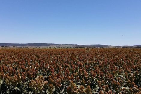 Lot 43/44 Cutmore Rd, Swan Creek, QLD 4370