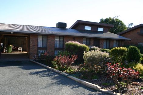 Property photo of 10/13 Naretha Street Swan Hill VIC 3585