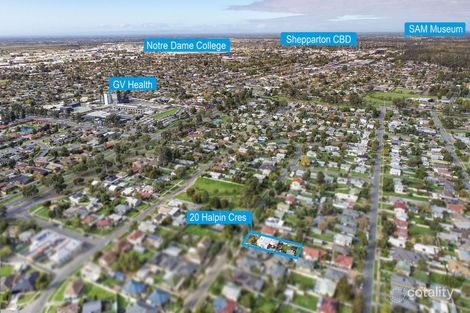 Property photo of 20 Halpin Crescent Shepparton VIC 3630