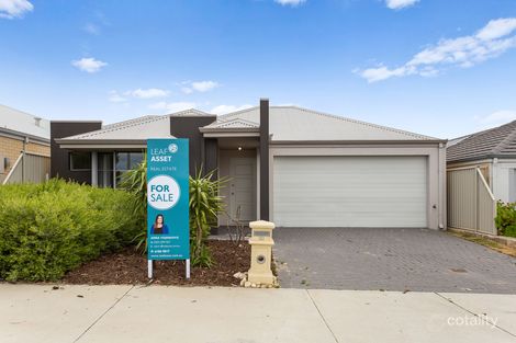 Property photo of 50 Skysail Avenue Alkimos WA 6038