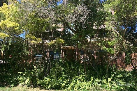 Property photo of 293 Racecourse Road Forbes NSW 2871
