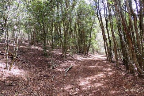 137 Copeland Rd, Copeland, NSW 2422