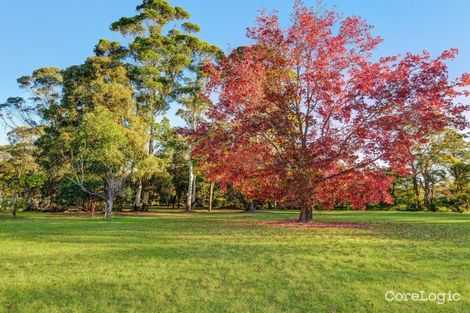 Property photo of 8 St Columbans Green North Turramurra NSW 2074