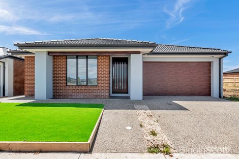 Property photo of 38 Hallinan Street Tarneit VIC 3029