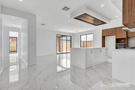 Property photo of 38 Hallinan Street Tarneit VIC 3029