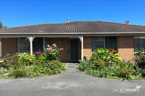 2/133 Aberdeen St, Newtown, VIC 3220