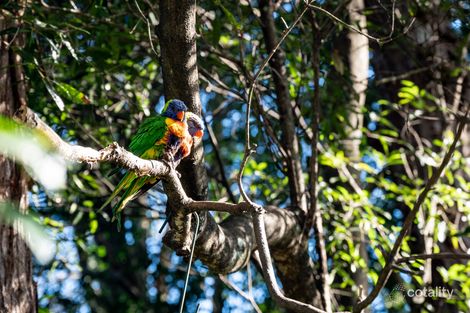 Property photo of 7 Eldon Lane Beecroft NSW 2119