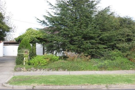 Property photo of 3 Curzon Street Ivanhoe VIC 3079