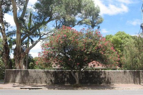 19 Whyte St, Somerton Park, SA 5044