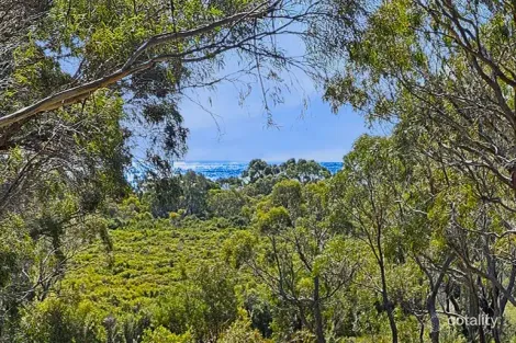 Property photo of 24 Jeanneret Crescent Binalong Bay TAS 7216