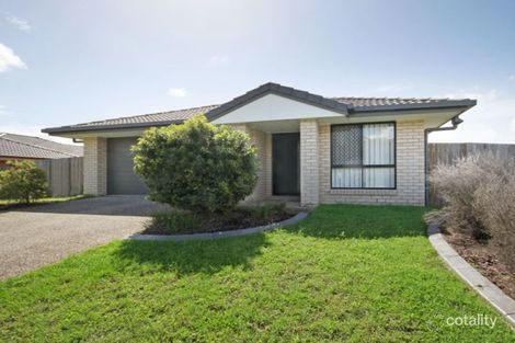 Property photo of 13 Grassdale Crescent Morayfield QLD 4506