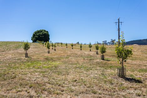 Property photo of 88 Ayreshire Drive Shepherds Flat VIC 3461