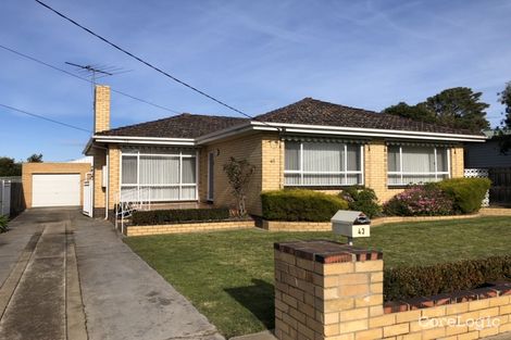 Property photo of 43 Laura Avenue Belmont VIC 3216
