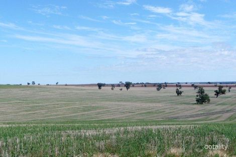 150 Jim Mcdonnells Lane, Bidgeemia, NSW 2642