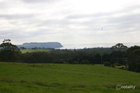 90 Tippetts Rd, Mount Hicks, TAS 7325