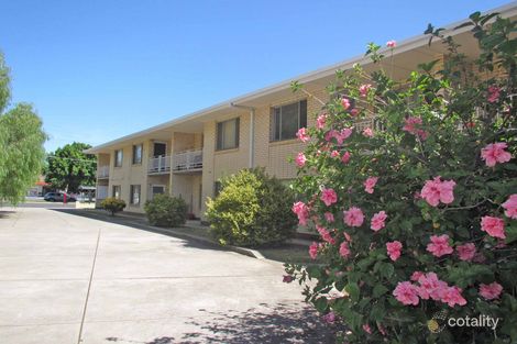 11/231 Anzac Hwy, Plympton, SA 5038