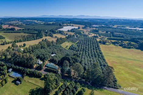 388 Rous Rd, Rous Mill, NSW 2477