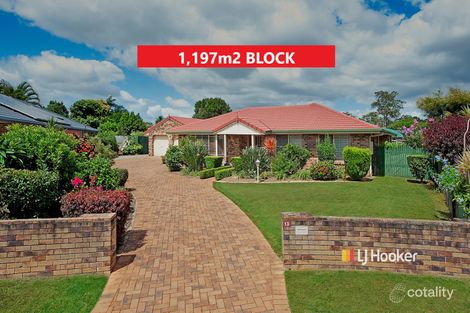 13 Coachwood Ct, Murrumba Downs, QLD 4503