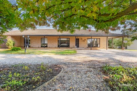 Property photo of 424 Burma Road Table Top NSW 2640