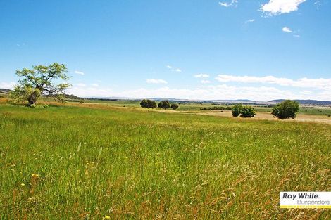 Property photo of 226 Mill Post Lane Bungendore NSW 2621