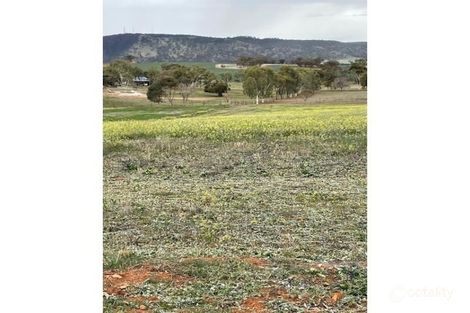 Property photo of 6 Nugent Road York WA 6302