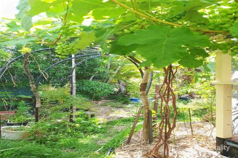 Property photo of 114/46 Wommin Bay Road Chinderah NSW 2487