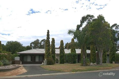 15 Seabird Pl, Craigie, WA 6025