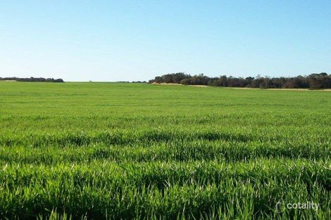 2313 Ogilvie Rd E, Ogilvie, WA 6535