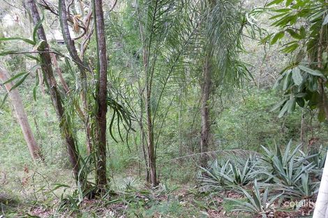 Property photo of 14 Hawthorne Street Sadliers Crossing QLD 4305