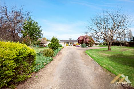 23 Mckenzie St, Lucknow, VIC 3875