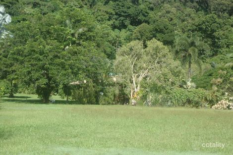 Property photo of 8 Oleander Drive Wonga Beach QLD 4873