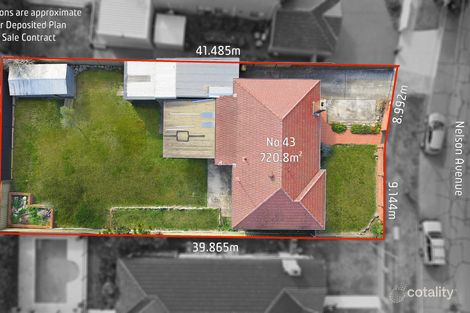 Property photo of 43 Nelson Avenue Belmore NSW 2192