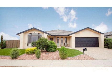 Property photo of 56 The Valley Avenue Gungahlin ACT 2912