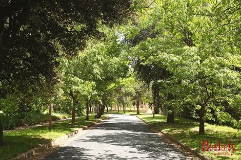 Property photo of 17 Torres Street Red Hill ACT 2603