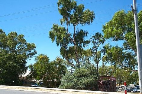 12 Dorchester Ave, Warwick, WA 6024