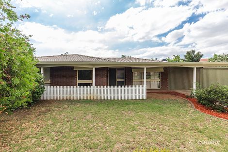 43 Hamilton Ave, Warradale, SA 5046