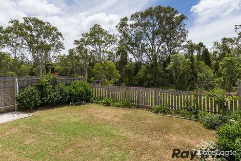 Property photo of 50 Somerset Drive Carseldine QLD 4034