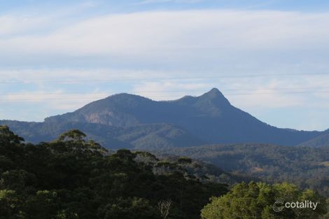 213 Mount Burrell Rd, Mount Burrell, NSW 2484