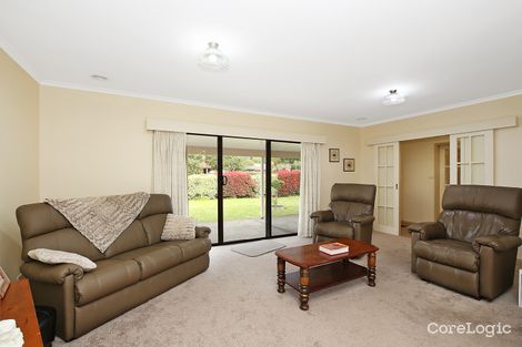 Property photo of 36 Talbot Street Camperdown VIC 3260