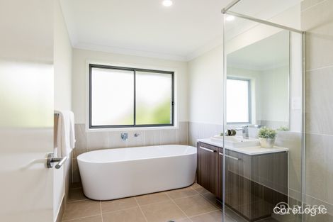 Property photo of 14 Joan Street Norman Park QLD 4170