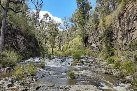 307 Blomfield Rd, Yarrowitch, NSW 2354