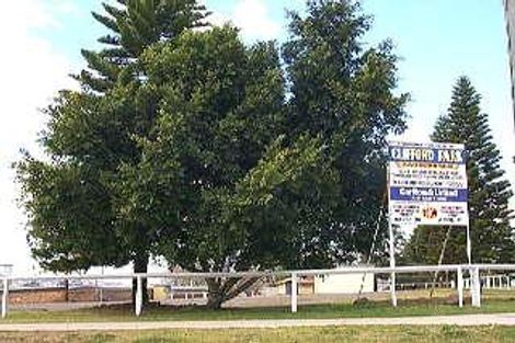 48 Wyalla St, Newtown, QLD 4350