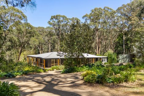 15 Pine Ave, Red Hill South, VIC 3937