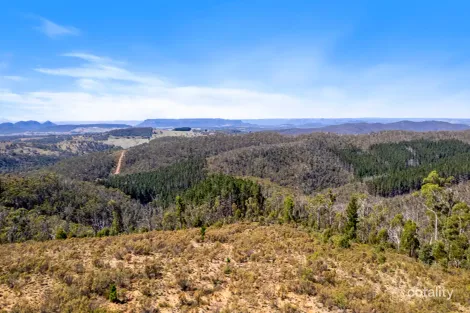 267 New Olivers Rd, Running Stream, NSW 2850