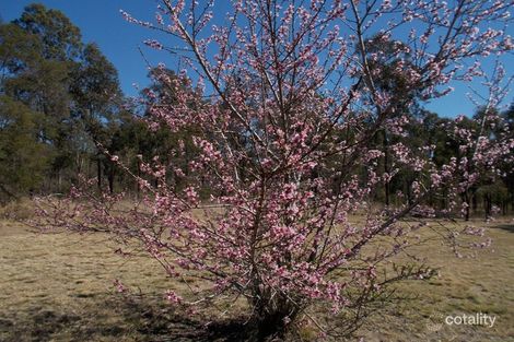 Property photo of 40 Pitts Road South Nanango QLD 4615